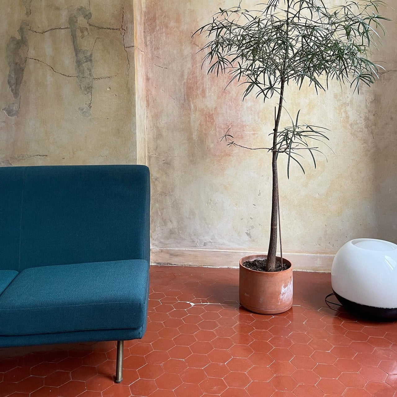 Sofa Triennale Marco Zanuso