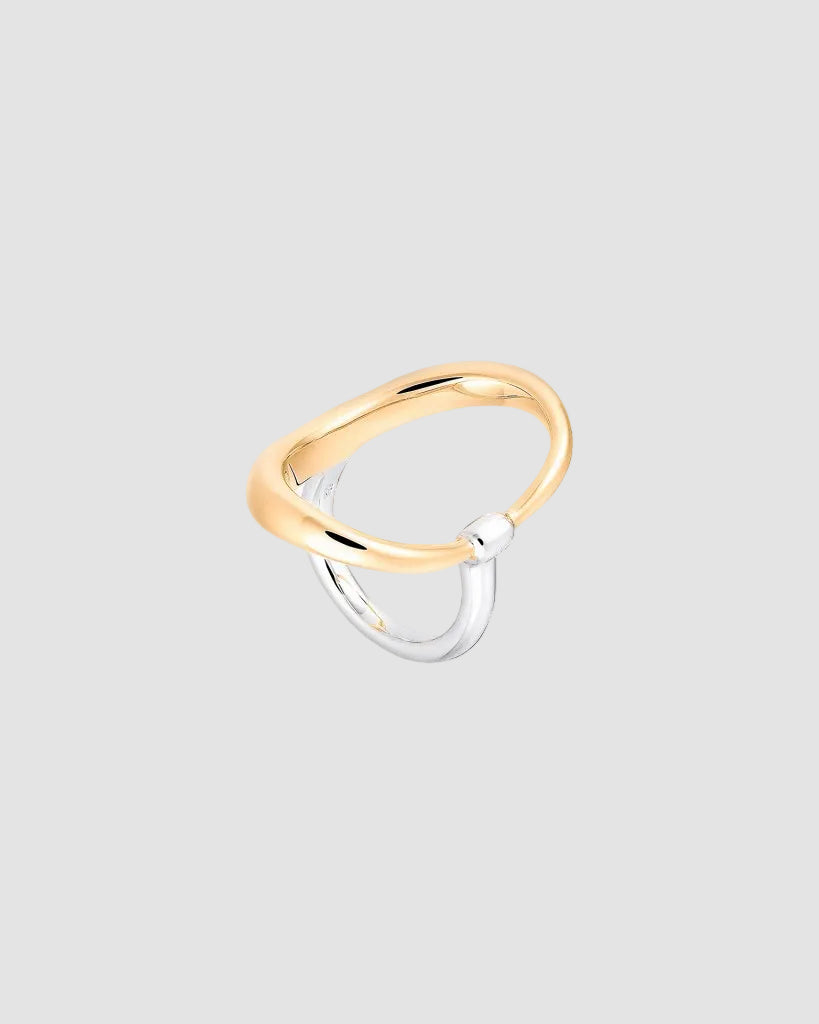 TURTLE RING