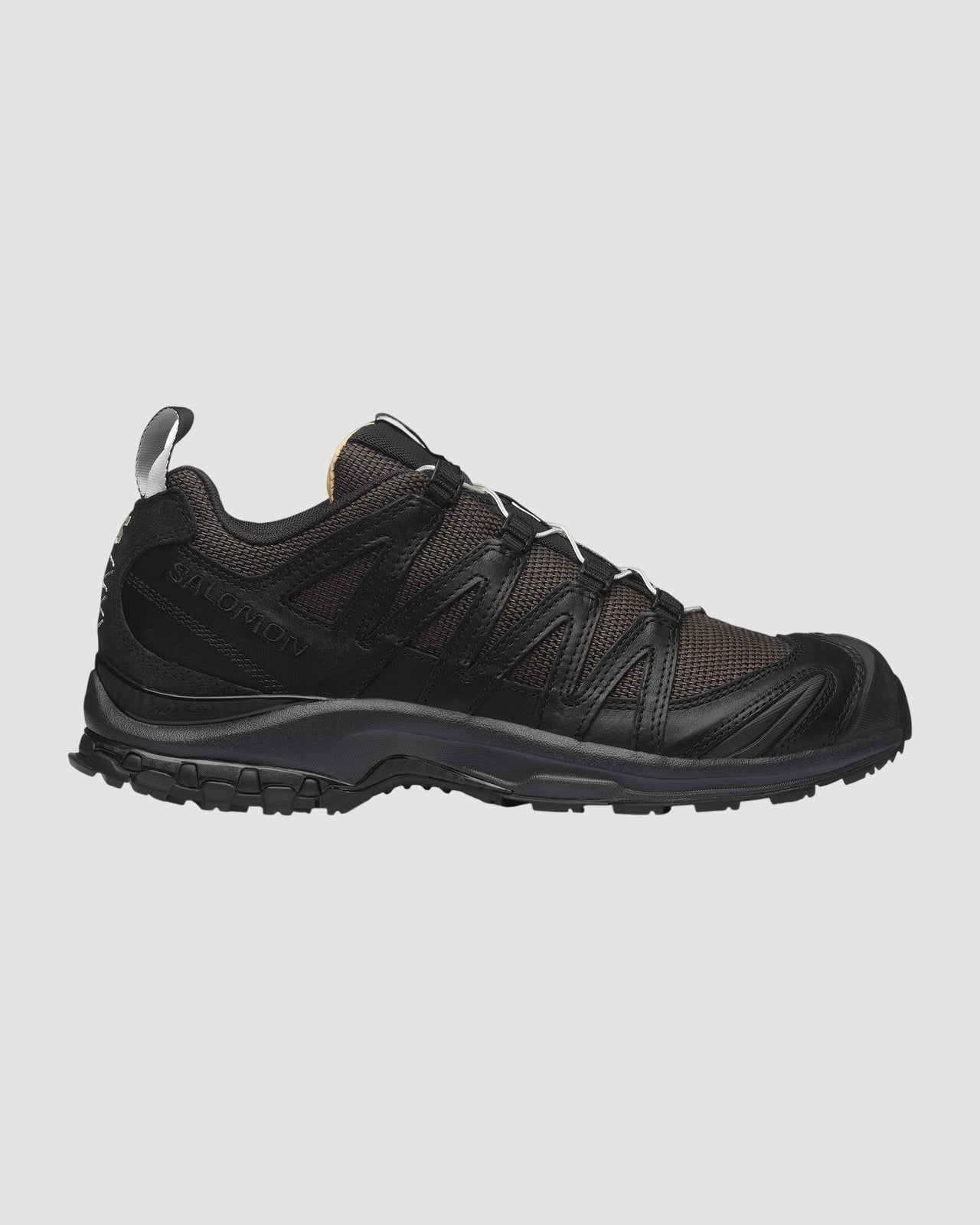 xa pro 3d alpine echoes salomon black earth 1