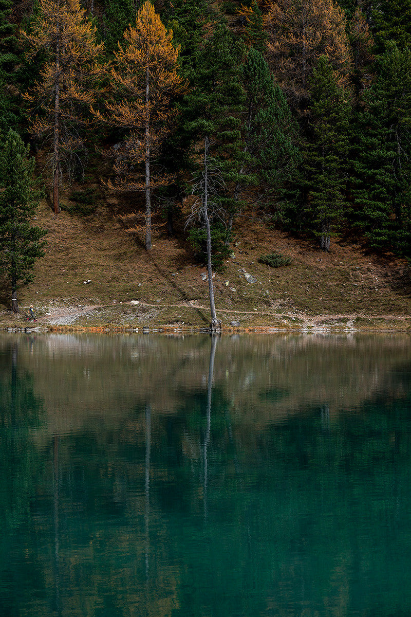 Photographie Le lac de l'Orceylette