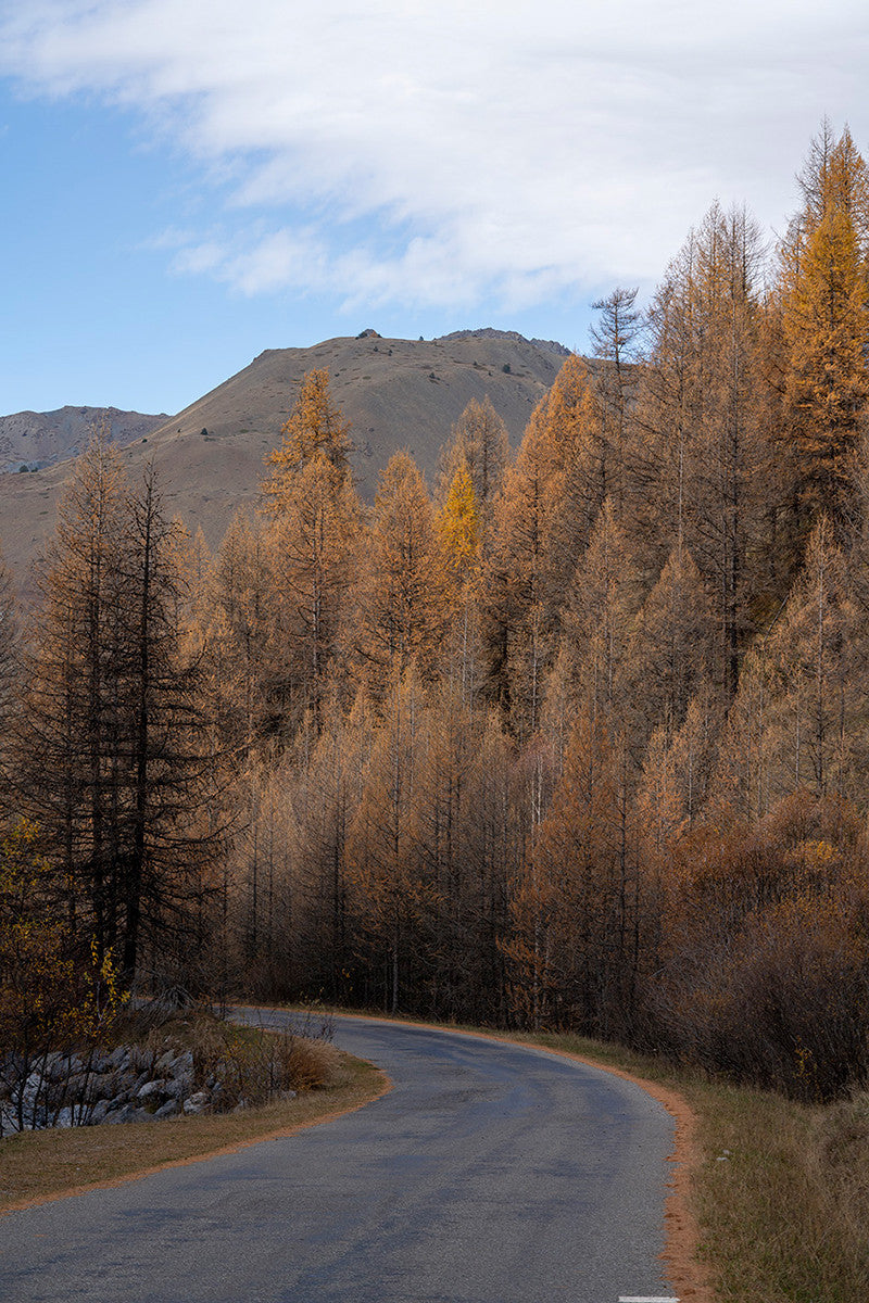 Photographie Route de la Vallée des Fonts