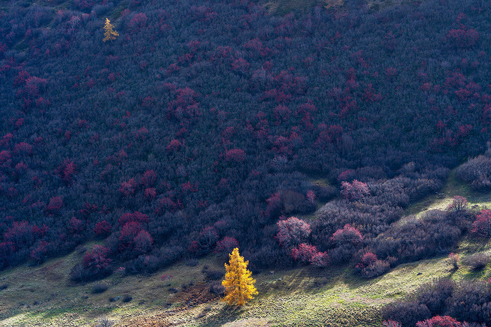 Photographie Le Lautaret