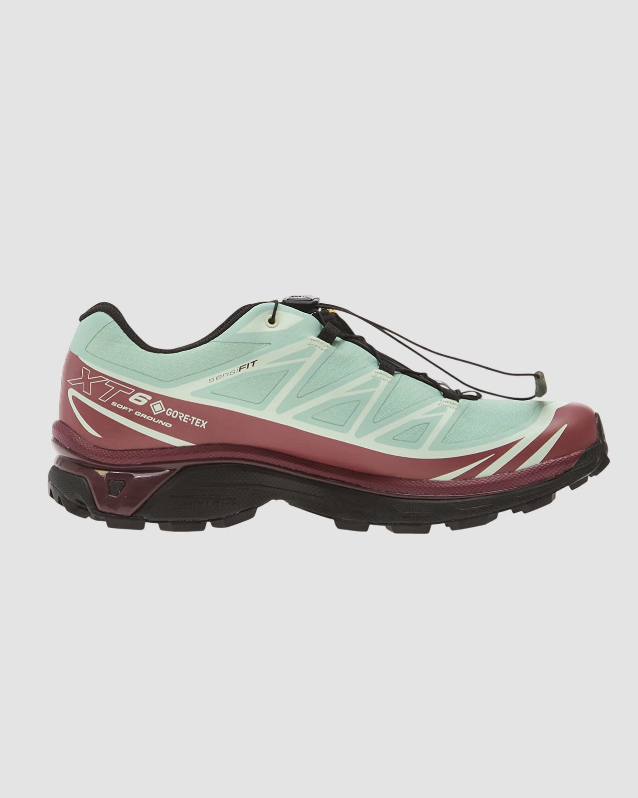 xt 6 gtx   salomon   lichen nocturne claqua 3