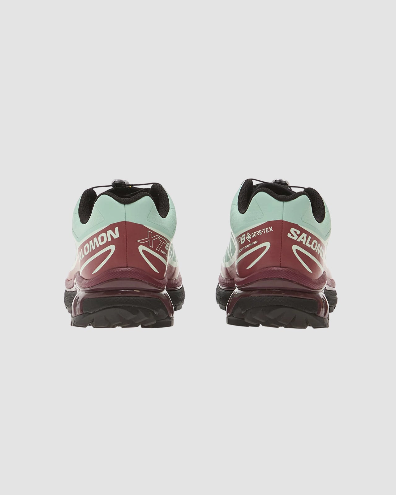 xt 6 gtx   salomon   lichen nocturne claqua 5